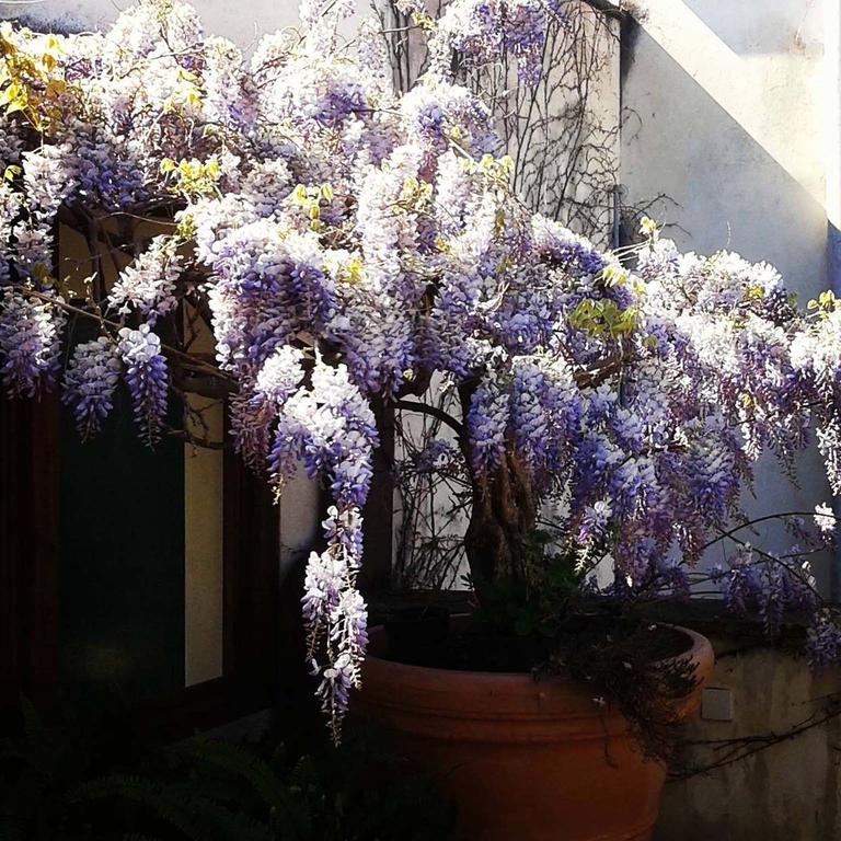 B&B Le Terrazze Бишелье Экстерьер фото
